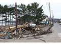東日本大震災 274