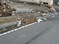 東日本大震災 吉田望先生記録写真および動画298
