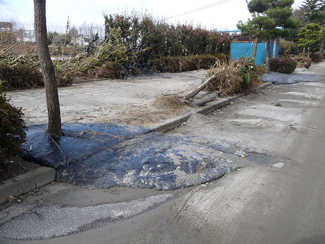 東日本大震災 吉田望先生記録写真および動画242