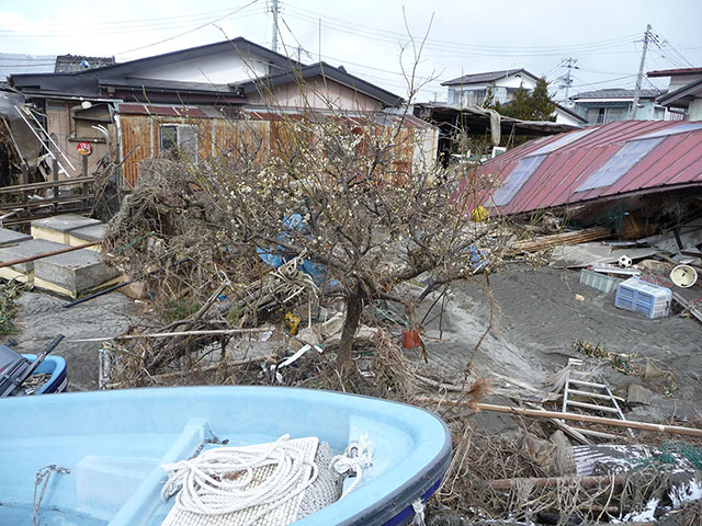 東日本大震災 吉田望先生記録写真および動画252